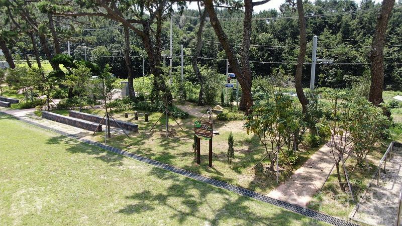 6 여수시, 여남초등학교 친환경 학습공간 ‘학교숲 조성’.jpg